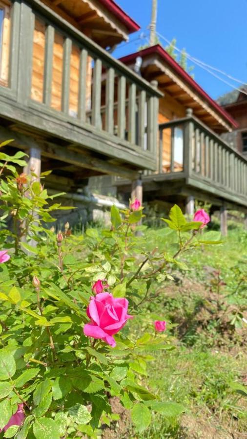 Pilita Bungalov&Rest Ayder Yaylası Eksteriør bilde