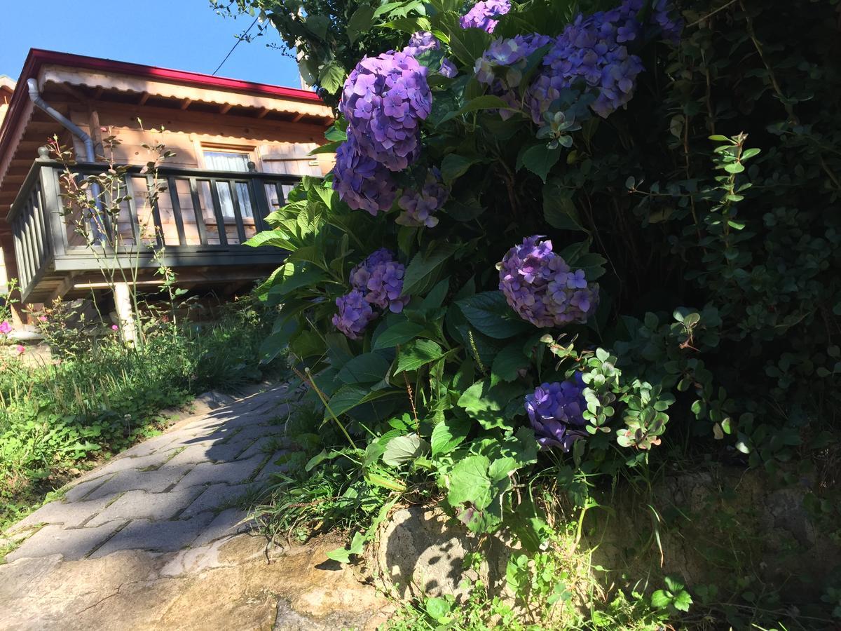 Pilita Bungalov&Rest Ayder Yaylası Eksteriør bilde