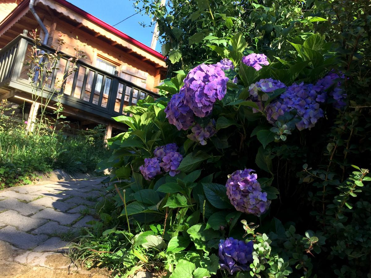 Pilita Bungalov&Rest Ayder Yaylası Eksteriør bilde